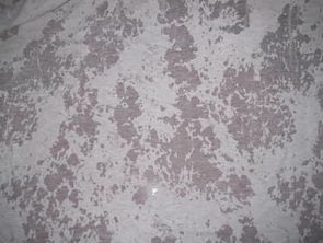 牛奶絲 磨毛牛奶絲 拉架牛奶絲 彈力牛奶絲 運(yùn)動(dòng)面料 瑜珈服面料 棉衣面料