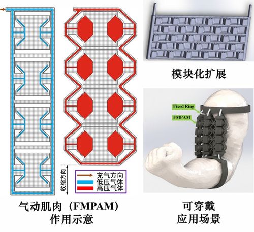 天津大學(xué)提出模塊化柔性驅(qū)動(dòng)新方法,可用于人工肌肉和管道機(jī)器人