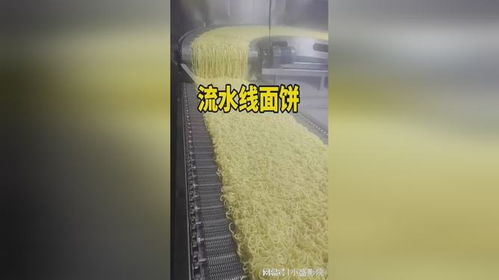 方便面食品廠面餅制作
